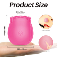 Im Dunkeln Leuchtender Rosen-Vibrator Klitoris-Sauger Nippel-Stimulator Leuchtender Rosen-Vibrator Frauen-Sexspielzeug