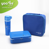 Boîte à lunch isotherme de qualité supérieure, durable et réutilisable, pour pique-nique