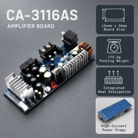 Papan Amplifier Digital TPA3116 2.0 Saluran 2x100W 8-24V untuk Sistem Audio Rumah Grosir OEM Produsen Speaker Perakit