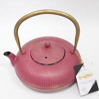 Nouvelle bouilloire en fer or rose, théière en fer avec filtre, lumière intérieure, eau bouillante, thé, café, théière en fonte