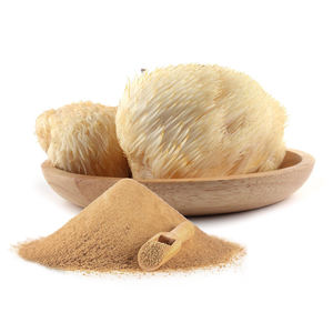 GANOHERB - Extracto Orgánico en Polvo de Melena de León, Polvo de Hongo Melena de León para Alimentos Funcionales, Bebidas, Cápsulas, Suplemento de Melena de León - Product Image 3