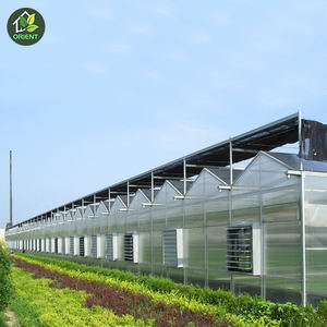 Serre en polycarbonate à plusieurs niveaux en polycarbonate, serre météo chaude pour <span class=keywords><strong>tomates</strong></span>, serre hydroponique, plantation - Product Image 6