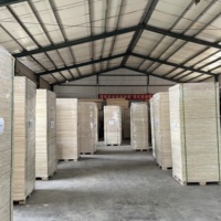 Origine du Shandong Balsa Paulownia, planches articulées en bois massif, planches collées en bois, prix mètre cube M3 Tomentosa