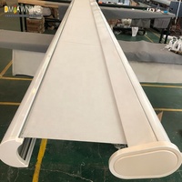 Auvent de Cassette électrique, cadre couleur blanche, vente en gros,