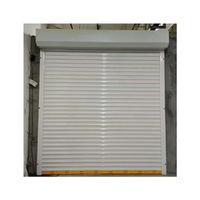 Puerta de Garaje Seccional de Aluminio Blanco con Paneles Elevados, Aislada, Plegable, Antirrobo, con Acabado para Entrada Exterior de Viviendas