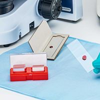 Sturdy Lab Microscope Slide Holders Rigid Cardboard Slide Mailer for 1 Mounted Specimen Shipping Paperboard Type