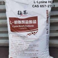 Lysine en poudre de qualité alimentaire, fortifiant nutritionnel, L-lysine, fourni par l'usine