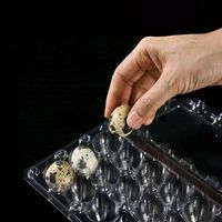 Boîte d'emballage sous blister d'oeufs de caille à 24 cellules d'approvisionnement d'usine Emballage en plastique PET transparent à 24 grilles pour plateau d'oeufs de caille