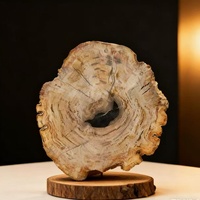 Tranche de bois fossile en cristal naturel de différentes tailles, cristal poli, dalle de bois pétrifié, tendance de la mode, décoration de la maison pour la Saint-Valentin