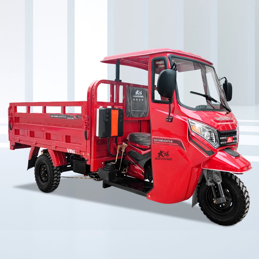 250cc бензиновый грузовой трехколесный велосипед хорошего качества, Прочное шасси с тяжелой загрузкой, простая кабина с двумя задними колесами для продажи