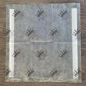 Orinal desechable para cachorros, almohadillas absorbentes de fibra de carbono de bambú para entrenamiento, <span class=keywords><strong>100</strong></span> unidades - Product Image 6