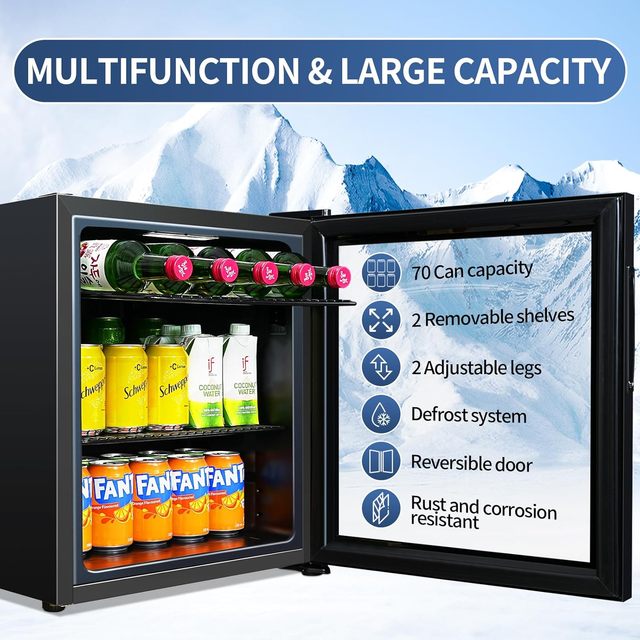 VANACE 40L Portable Display Cooler Refrigerator Small Mini Fridge with Lock and Key for Bedroom Hotel Room 40BFK