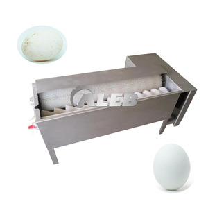 Machine de nettoyage d'œufs en acier inoxydable à haute efficacité, fonctionnement automatique, type brosse, sans blocage, sans bris, fiable - Product Image 3
