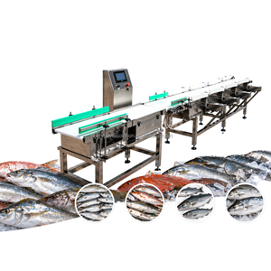Calibradora de peso para tarros de aceitunas y clasificadora de jamón para el envasado de alimentos mediterráneos en talleres de exportación. - Product Image 2