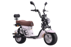 DAYI MOTOR Scooter Elettrico ad Alta Velocità 1300mm 1000W/1500W 60V, Motocicletta Elettrica - Product Image 5