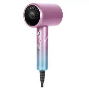 China Factory Direct Sale High Quality Professional Home Use Leafless Hair Dryer