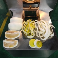 DQ Guangzhou Daqiao Industriële Geïntegreerde Pomelo Groente Schil- en Snijmachine Set Automatisering Fruit Groente