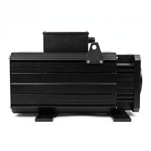 Motor servo síncrono de imanes permanentes refrigerado por aire de 110KW y 1000 RPM con fuerte sobrecarga (tipo de alto torque y fuerza constante) - Product Image 3