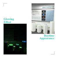 Poudre d'aluminate de strontium lumineuse au néon phosphorescent Junting Pigment phosphorescent dans le noir pour revêtement époxy Silme