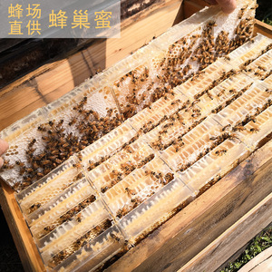 Farm-<strong>Fresh</strong> Bee Product From China Natural Raw <strong>Honeycomb</strong> for Export and Food Manufacturing-Bulk Packed - Product Image 5