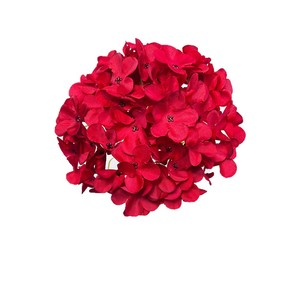Hydrangeas artificiels à 72 pétales, arrangement floral en soie, décoration de mariage et de maison, en plastique et tissu, pour présentation en vase - Product Image 5