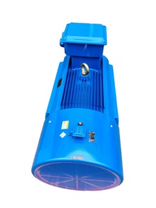 Motor de Accionamiento LSPMSM Magnético Refrigerado por Agua de 22kw 55kw 90kw para Barcos y Embarcaciones Marinas, con Controlador - Product Image 3