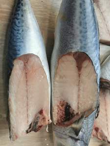 سمك الماكريل الياباني المجمد WR سمك فيليه سمك مجمد - Product Image 3