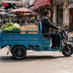 Tricycle motorisé à trois roues, moto à trois roues, capacité supérieure à 40 km/h, système de suspension, ETW 48V/60V 800W, tricycle à 3 roues - Product Image 2
