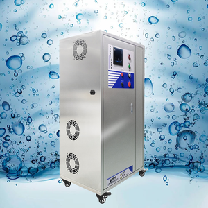 60 g/h source d'oxygène de haute qualité générateur d'ozone industriel éliminateur d'odeurs de fumée de voiture machines de traitement de l'eau - Product Image 2
