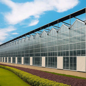 Grande serra da giardino agricola Multi-Span-struttura in vetro <span class=keywords><strong>di</strong></span> alta qualità per una crescita efficiente delle <span class=keywords><strong>colture</strong></span> - Product Image 1