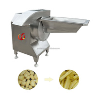Volledig automatische machine voor het frituren van rissoles, productielijn voor aardappelchips, 100 kg/uur