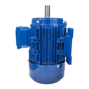 Motore Elettrico Trifase Asincrono YE3-80M2-2 IE3 IEC 380V 50Hz 60Hz 3000rpm 1.1kw 1.5hp - Product Image 5