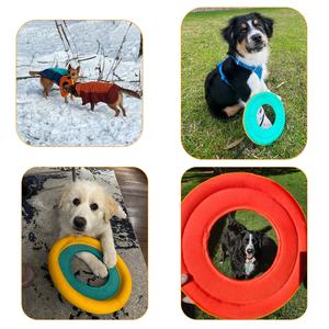 Produttore all'ingrosso cane interattivo all'aperto disco volante morso giocattoli per animali domestici durevole masticare animali domestici gioco di addestramento per animali domestici giocattolo per cani - Product Image 4