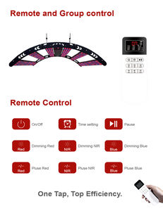 Équipement de physiothérapie vétérinaire à lumière rouge infrarouge LED, certifié MDSAP, pour chevaux, thérapie par lumière rouge, thérapie par lumière rouge pour animaux de compagnie - Product Image 4
