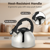 Bouilloire sifflante en acier inoxydable de 2,5 L avec poignée froide au toucher, pour tous les types de cuisinières, vente en gros d'usine