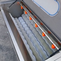 Commerciële multifunctionele groente- en fruit schiller, automatische aardappelwasser en -schiller voor taro, yam en wortel