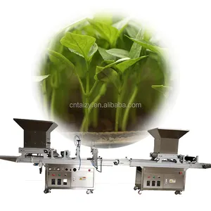 full automatic seeds seedling machine seedling planting machine rose plants nursery seedlings