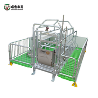 Cages de maternité complètes pour truies, fabriquées en Chine, pour l'accouchement et l'élevage de porcs, vente directe pour usage agricole