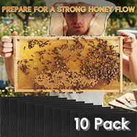 Neue 10er-Packung schwarze, mit Bienenwachs beschichtete Tiefenwabenplatten für Bienenstockrahmen