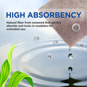 Perban disinfektan <span class=keywords><strong>Ion</strong></span> perak kalsium Alginate luka balutan Ag balutan Hemostasis untuk perawatan luka - Product Image 5