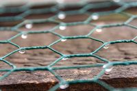 Vente en gros de treillis métallique hexagonal galvanisé pour poulailler au meilleur prix fil de clôture galvanisé enduit de PVC maillon de chaîne