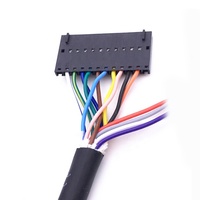 Câble d'interconnexion mâle à femelle 11 broches personnalisé avec faisceau de câbles de boîtier de connecteur Molex 70066 série 50579411