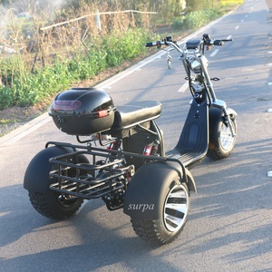 2000W 60V12Ah/20Ah Abnehmbarer Akku Fatbike 3-Rad-Roller mit Dach/Dreirad/Trike/Fahrrad/Motorrad Sp-es14-12 Dreirad - Product Image 3