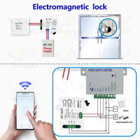 Mini relais intelligent Wi-Fi Tuya DIY RF 433 MHz 1 canal DC AC 9V 12V 24V USB 5V, interrupteur de télécommande sans fil pour ventilateur Google Alexa