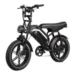 V20จักรยานไฟฟ้าอัลตร้า eBike 500W 48V มาตรฐานยุโรปพร้อมมอเตอร์ฮับด้านหลัง8สปีด20นิ้วจักรยานล้อโต - Product Image 2