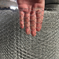 Grillage hexagonal torsadé en acier inoxydable pour cage à poulets et clôture de jardin