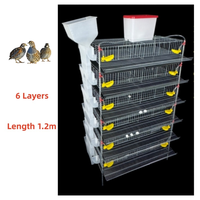 Équipement d'élevage, équipement avicole, équipements agricoles, cages à cailles pour la production d'œufs, cages à cailles pondeuses, cage de type H