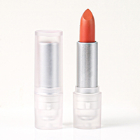 Nouveau Rouge à Lèvres Mat Velours Nude Sexy Longue Tenue Hydratant Maquillage Teinté Beauté Cosmétique