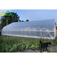Mini serre tunnel agricole pour culture hivernale, serre tunnel en plastique, polytunnel