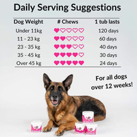 Friandises à Mâcher Tendres Anti-Allergie Marque Blanche pour Chiens – Complément Alimentaire pour la Santé Animale, Soulagement des Démangeaisons Cutanées, Friandises Immunitaires